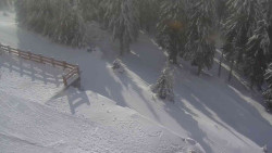 Přístup na běžeckou trať