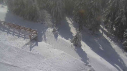 Přístup na běžeckou trať