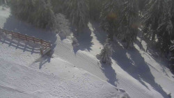 Přístup na běžeckou trať