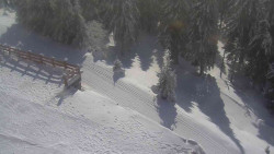 Přístup na běžeckou trať