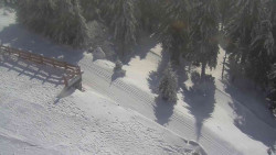 Přístup na běžeckou trať