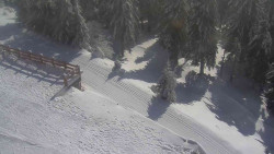 Přístup na běžeckou trať