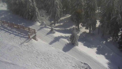 Přístup na běžeckou trať