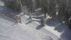 Přístup na běžeckou trať