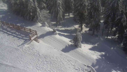 Přístup na běžeckou trať