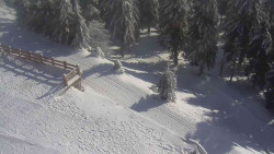 Přístup na běžeckou trať