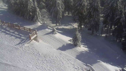 Přístup na běžeckou trať