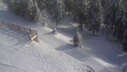 Přístup na běžeckou trať