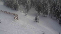 Přístup na běžeckou trať