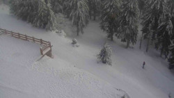 Přístup na běžeckou trať