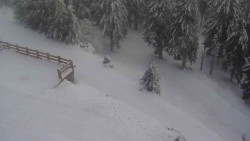 Přístup na běžeckou trať