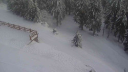 Přístup na běžeckou trať