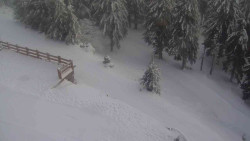 Přístup na běžeckou trať