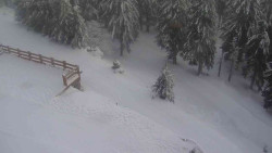 Přístup na běžeckou trať