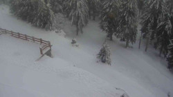 Přístup na běžeckou trať