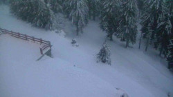 Přístup na běžeckou trať