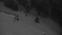 Přístup na běžeckou trať