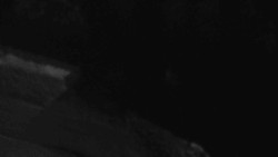 Přístup na běžeckou trať