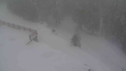 Přístup na běžeckou trať