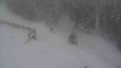 Přístup na běžeckou trať