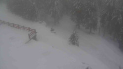 Přístup na běžeckou trať