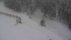 Přístup na běžeckou trať