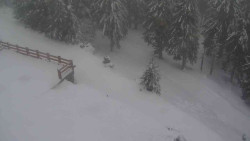 Přístup na běžeckou trať