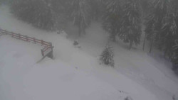 Přístup na běžeckou trať