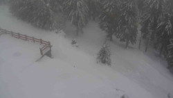 Přístup na běžeckou trať