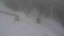 Přístup na běžeckou trať