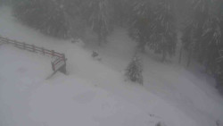 Přístup na běžeckou trať