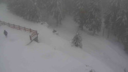 Přístup na běžeckou trať