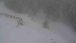 Přístup na běžeckou trať