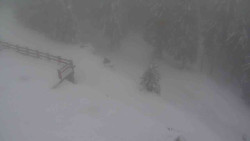 Přístup na běžeckou trať