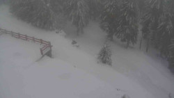 Přístup na běžeckou trať