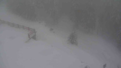 Přístup na běžeckou trať