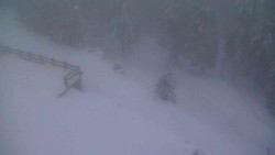 Přístup na běžeckou trať