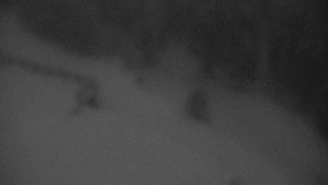 Sporthotel Kurzovní - Přístup na běžeckou trať - 22.2.2026 v 06:15 Sporthotel Kurzovní - Přístup na běžeckou trať - 22.2.2026 v 06:15