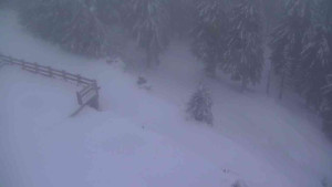 Sporthotel Kurzovní - Přístup na běžeckou trať - 22.2.2026 v 06:45 Sporthotel Kurzovní - Přístup na běžeckou trať - 22.2.2026 v 06:45