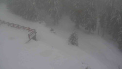 Přístup na běžeckou trať