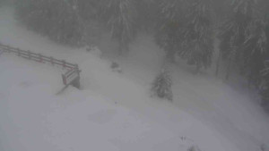 Sporthotel Kurzovní - Přístup na běžeckou trať - 22.2.2026 v 07:25 Sporthotel Kurzovní - Přístup na běžeckou trať - 22.2.2026 v 07:25