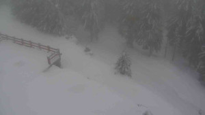 Sporthotel Kurzovní - Přístup na běžeckou trať - 22.2.2026 v 07:30 Sporthotel Kurzovní - Přístup na běžeckou trať - 22.2.2026 v 07:30