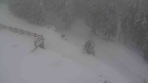 Sporthotel Kurzovní - Přístup na běžeckou trať - 22.2.2026 v 07:40 Sporthotel Kurzovní - Přístup na běžeckou trať - 22.2.2026 v 07:40