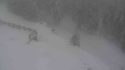 Přístup na běžeckou trať