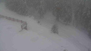 Sporthotel Kurzovní - Přístup na běžeckou trať - 22.2.2026 v 07:50 Sporthotel Kurzovní - Přístup na běžeckou trať - 22.2.2026 v 07:50