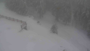 Sporthotel Kurzovní - Přístup na běžeckou trať - 22.2.2026 v 08:10 Sporthotel Kurzovní - Přístup na běžeckou trať - 22.2.2026 v 08:10