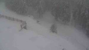 Sporthotel Kurzovní - Přístup na běžeckou trať - 22.2.2026 v 08:35 Sporthotel Kurzovní - Přístup na běžeckou trať - 22.2.2026 v 08:35