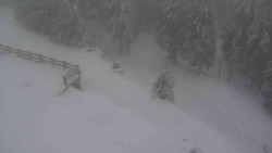 Přístup na běžeckou trať