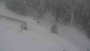 Sporthotel Kurzovní - Přístup na běžeckou trať - 22.2.2026 v 09:00 Sporthotel Kurzovní - Přístup na běžeckou trať - 22.2.2026 v 09:00