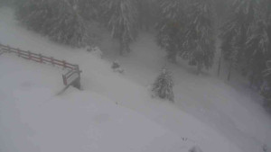 Sporthotel Kurzovní - Přístup na běžeckou trať - 22.2.2026 v 09:05 Sporthotel Kurzovní - Přístup na běžeckou trať - 22.2.2026 v 09:05